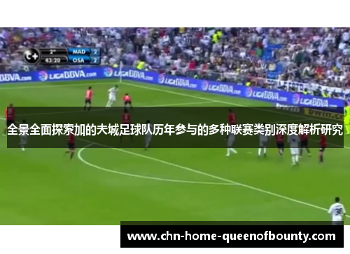 全景全面探索加的夫城足球队历年参与的多种联赛类别深度解析研究