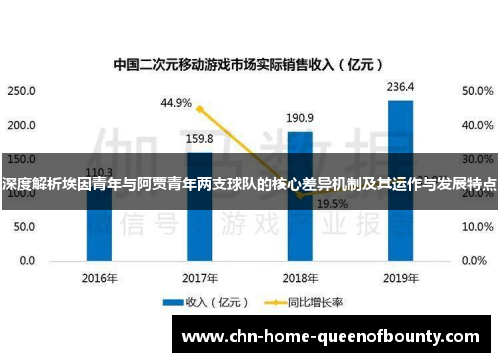 深度解析埃因青年与阿贾青年两支球队的核心差异机制及其运作与发展特点