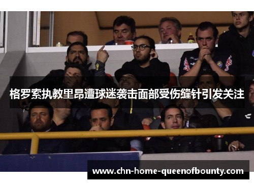 格罗索执教里昂遭球迷袭击面部受伤缝针引发关注