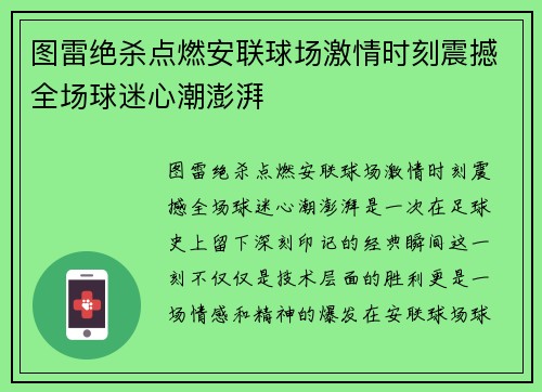 图雷绝杀点燃安联球场激情时刻震撼全场球迷心潮澎湃 图雷绝杀点燃安联球场激情时刻震撼全场球迷心潮澎湃